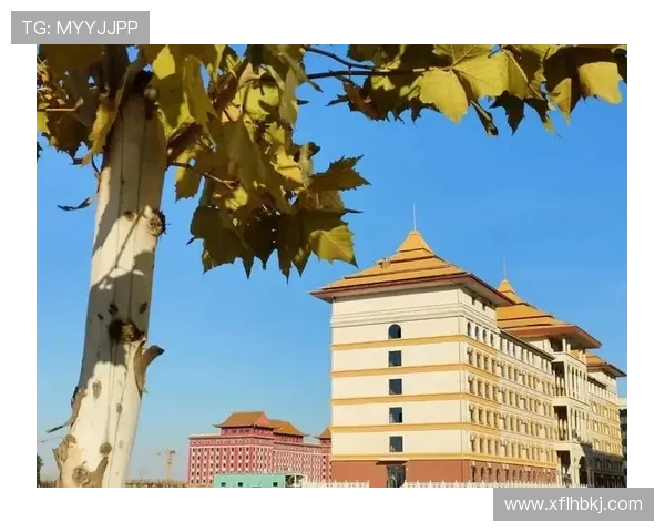 深圳羽毛球队的崛起之路：从默默无闻到奥运舞台的辉煌历程