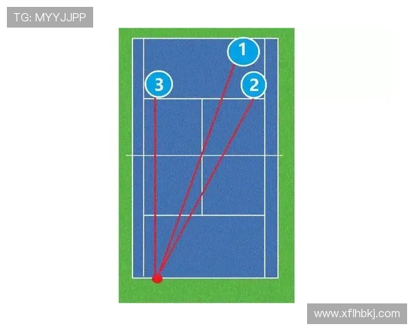 南京网球队与北京网球队赛后分析力量对比与战术探讨